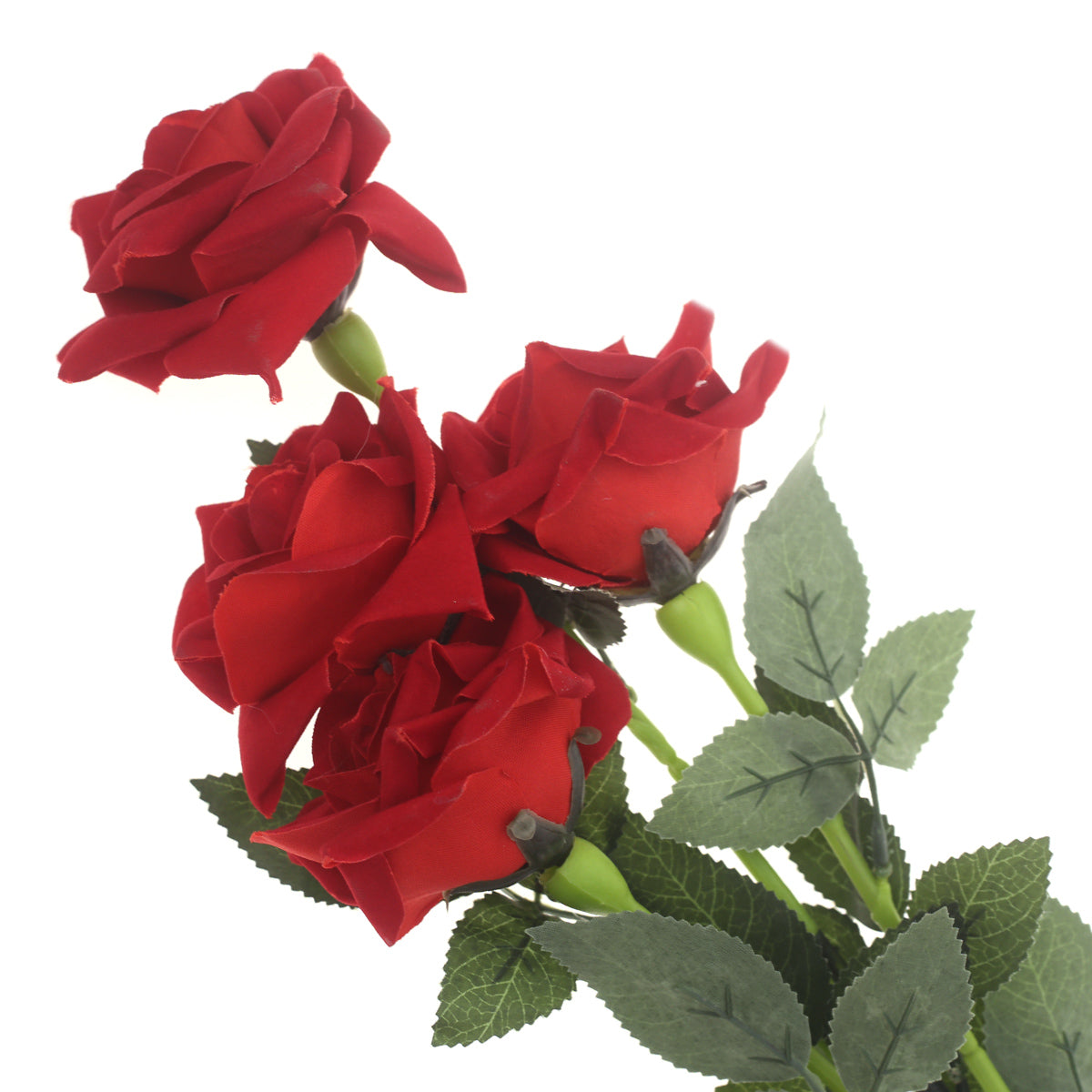 Rose Velvet Red