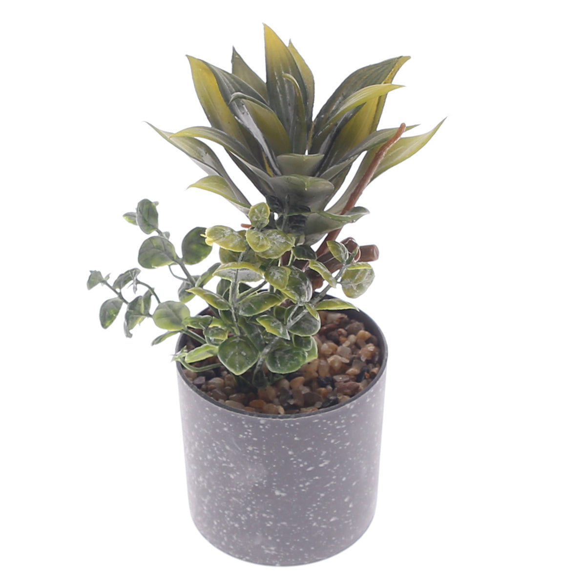 Table Plant D # 3 Green Ð Grey Pot Ð 2473134