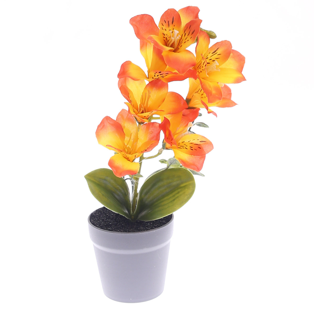 Table Plant Ð Tiger Lily Style Ð Orange Ð 2025366
