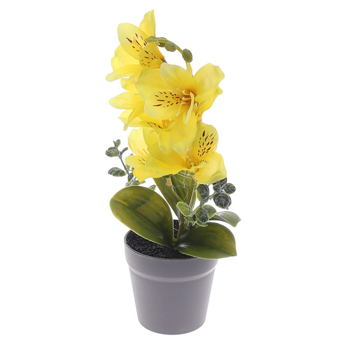 Table Plant Ð Lily Arrangement Ð Yellow Ð 2025366