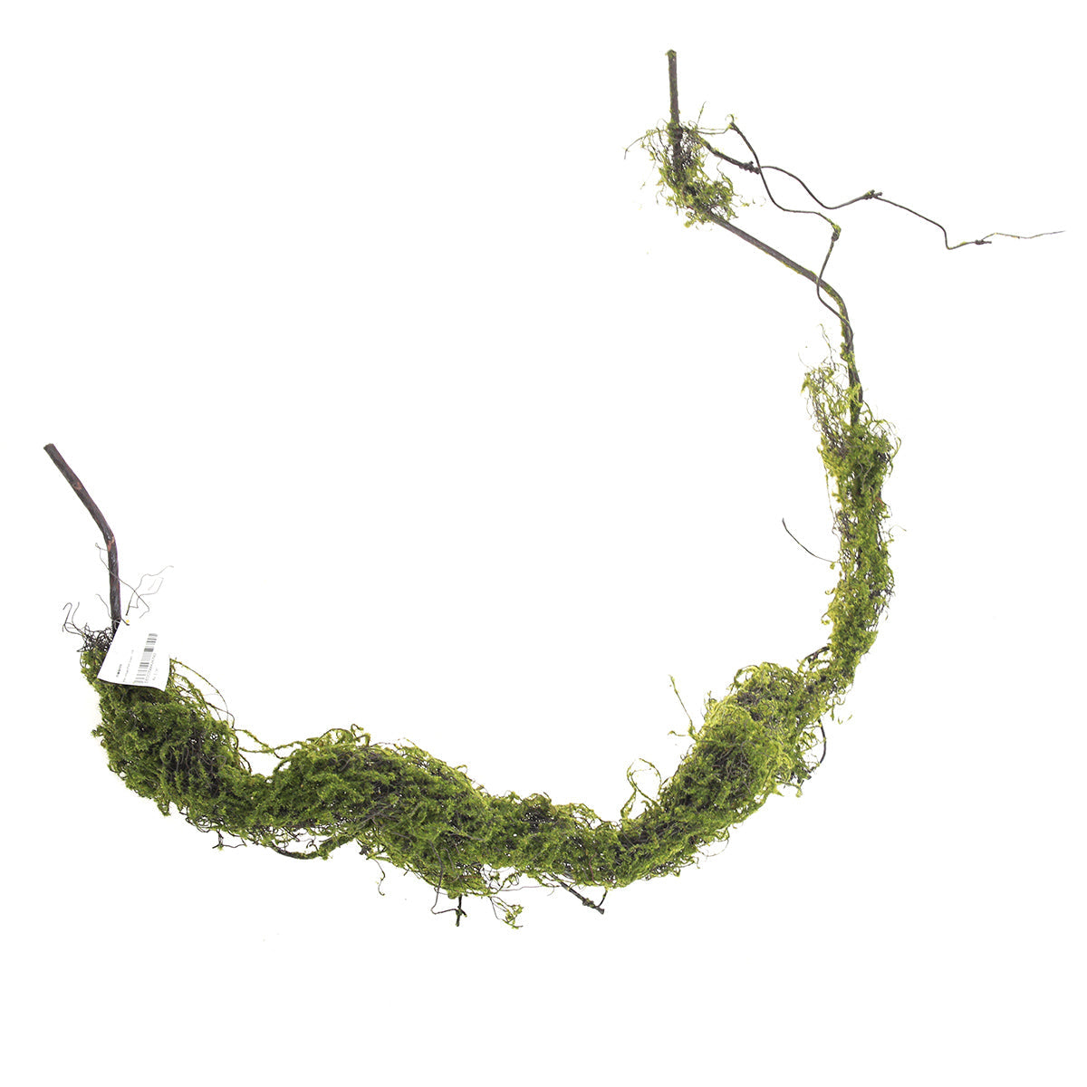 Vines.Unspecified.Green..V2RI