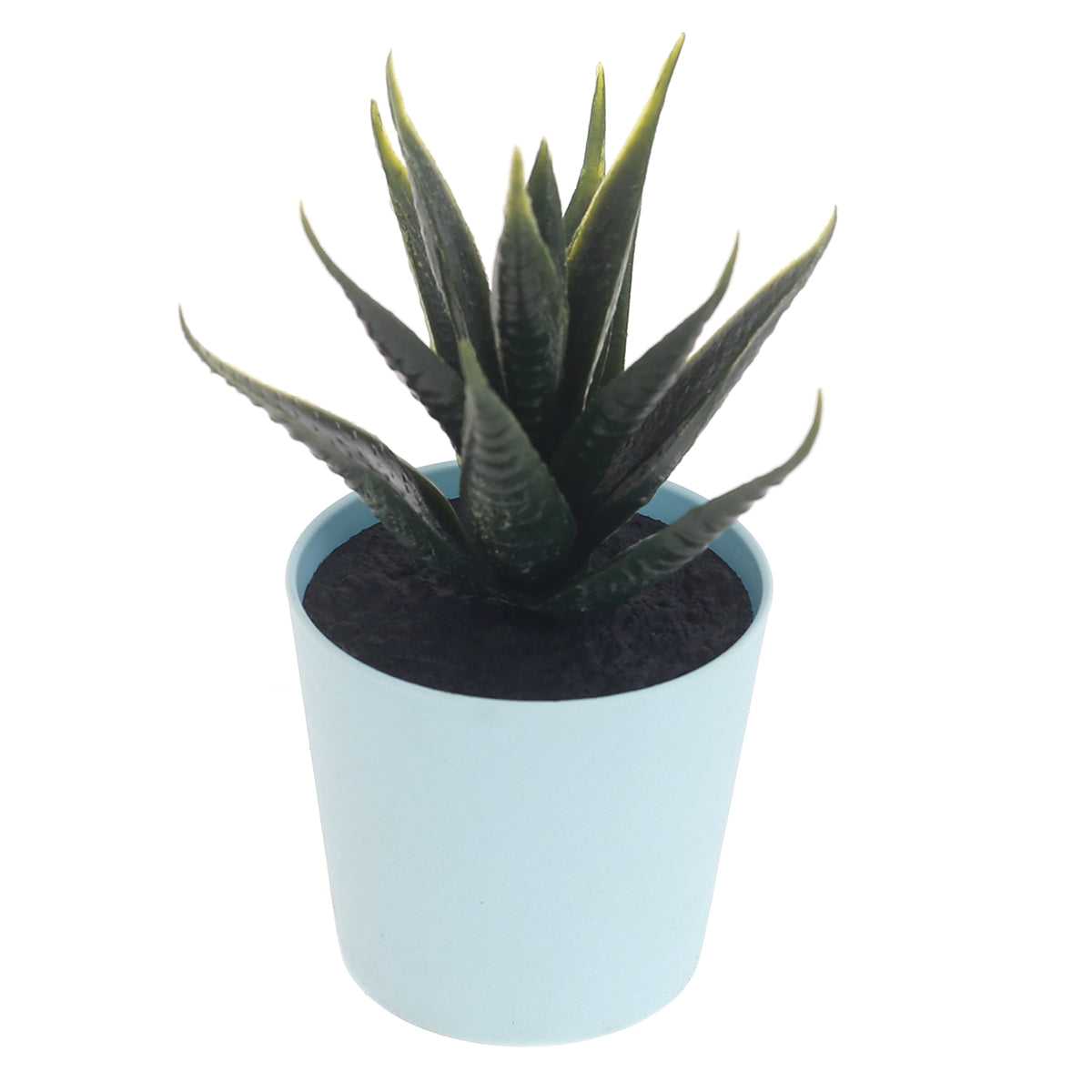 POT SUCCULENTS ASSORTED(light blue)