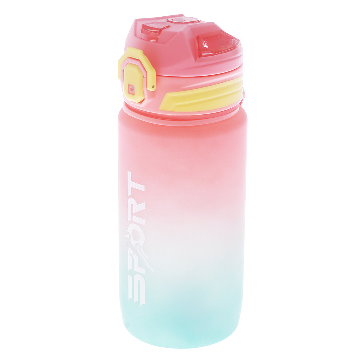Water Bottle Pink Z311-793