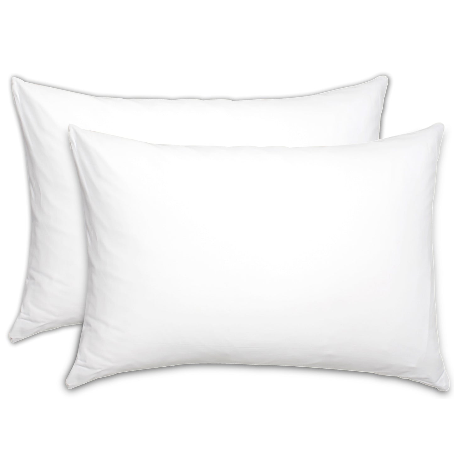 Bundle of 2 Pillow Filling  (20x30)