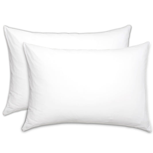 Bundle of 2 Pillow Filling  (20x30)