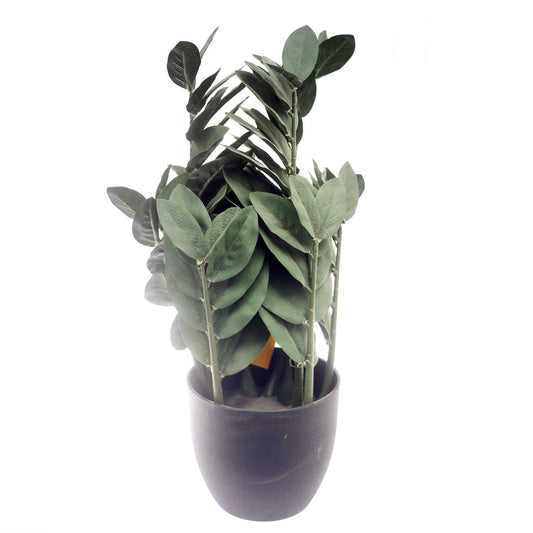 Floor Plant Green 22 Inch Height Cl-006