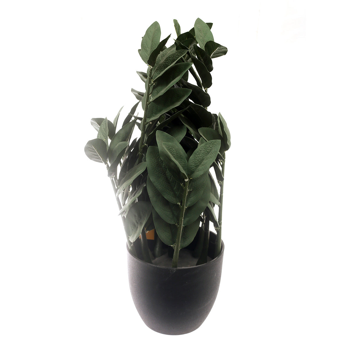 Floor Plant Green 22 Inch Height Cl-006