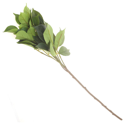 Almond Leave Filler Green