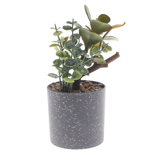 Table Plant D # 2 Green Ð Grey Speckled Pot