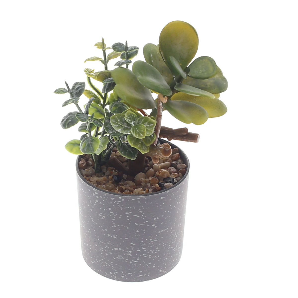 Table Plant D # 2 Green Ð Grey Speckled Pot