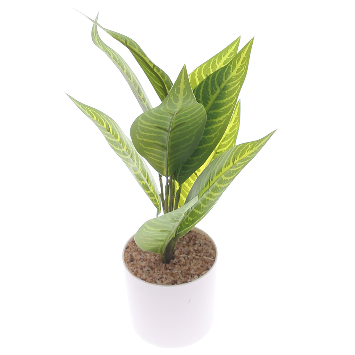 Table Plant D # 2 Green Ð White Pot Ð 830933