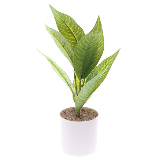 Table Plant D # 2 Green Ð White Pot Ð 830933