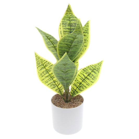 Table Plant D # 3 Green Ð White Pot Ð 830933