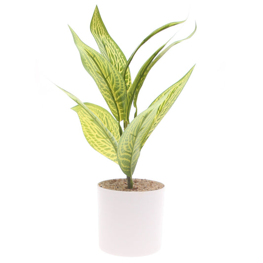 Table Plant D # 4 Green Ð White Pot Ð 830933