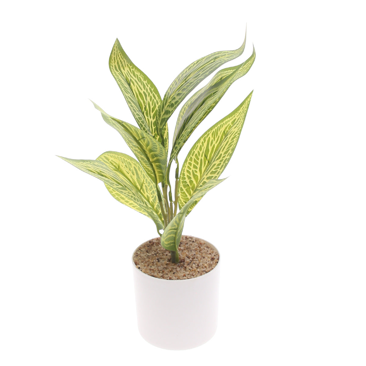 Table Plant D # 4 Green Ð White Pot Ð 830933