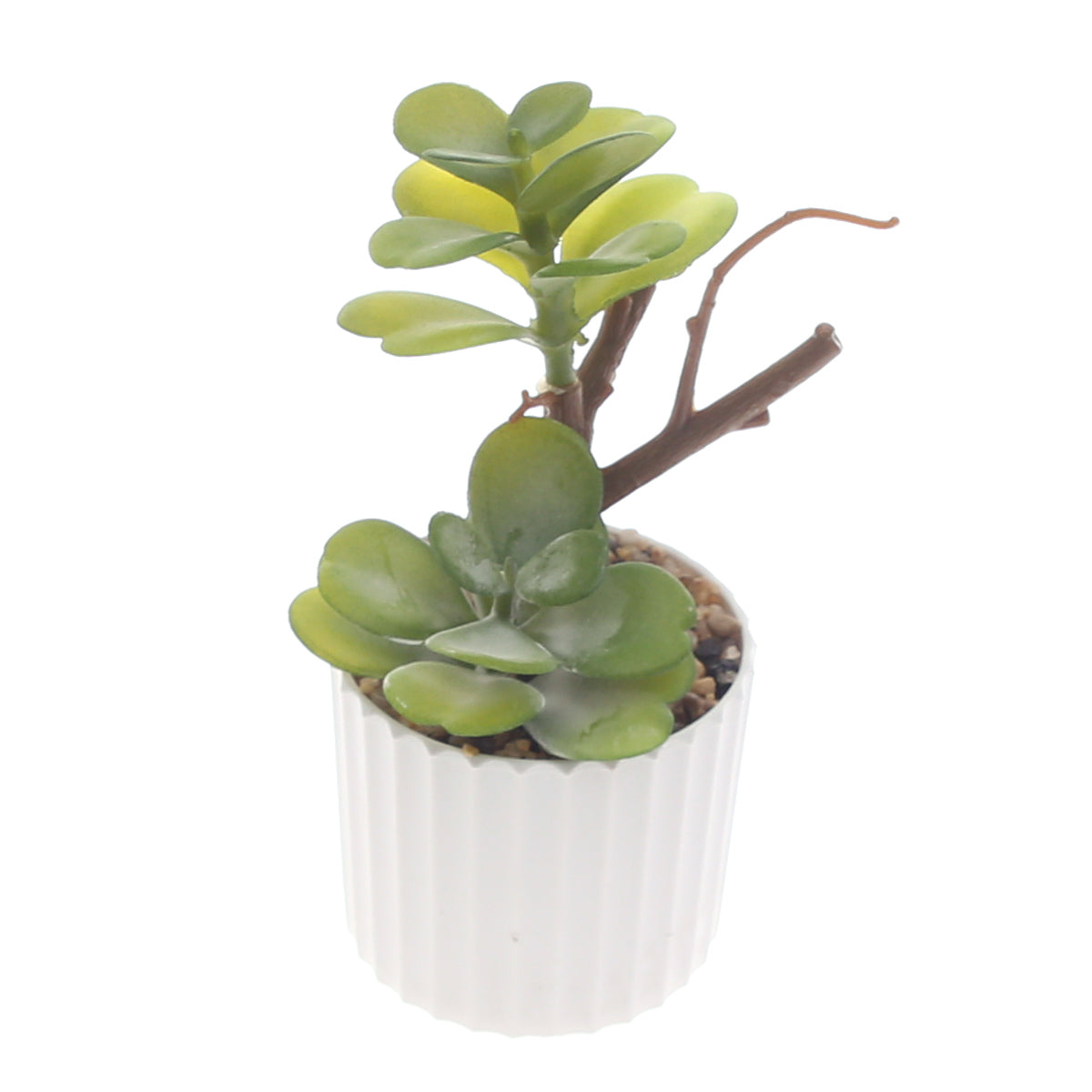 Table Plant D # 5 Green Ð Ribbed White Pot Ð 2473134
