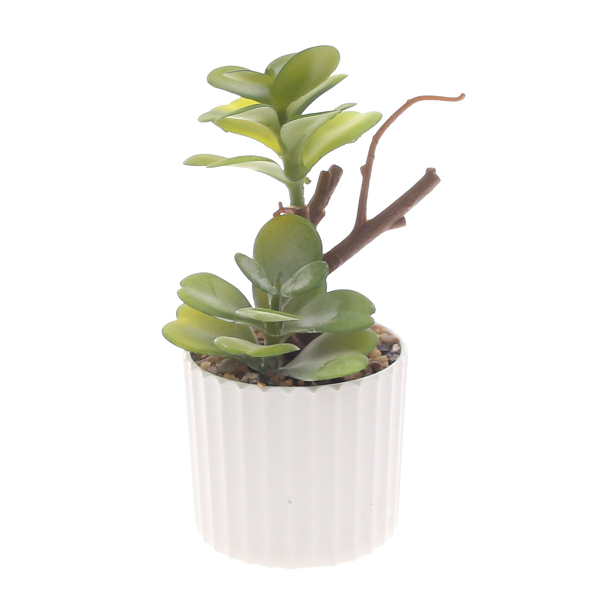 Table Plant D # 5 Green Ð Ribbed White Pot Ð 2473134