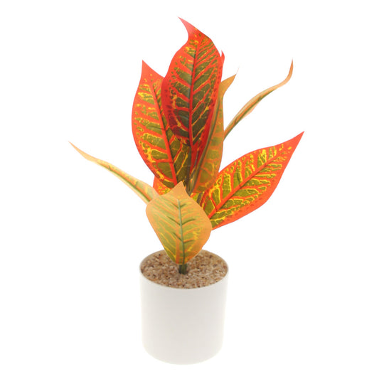 Table Plant D # 5 Orange Ð Decorative Pot Ð 830933