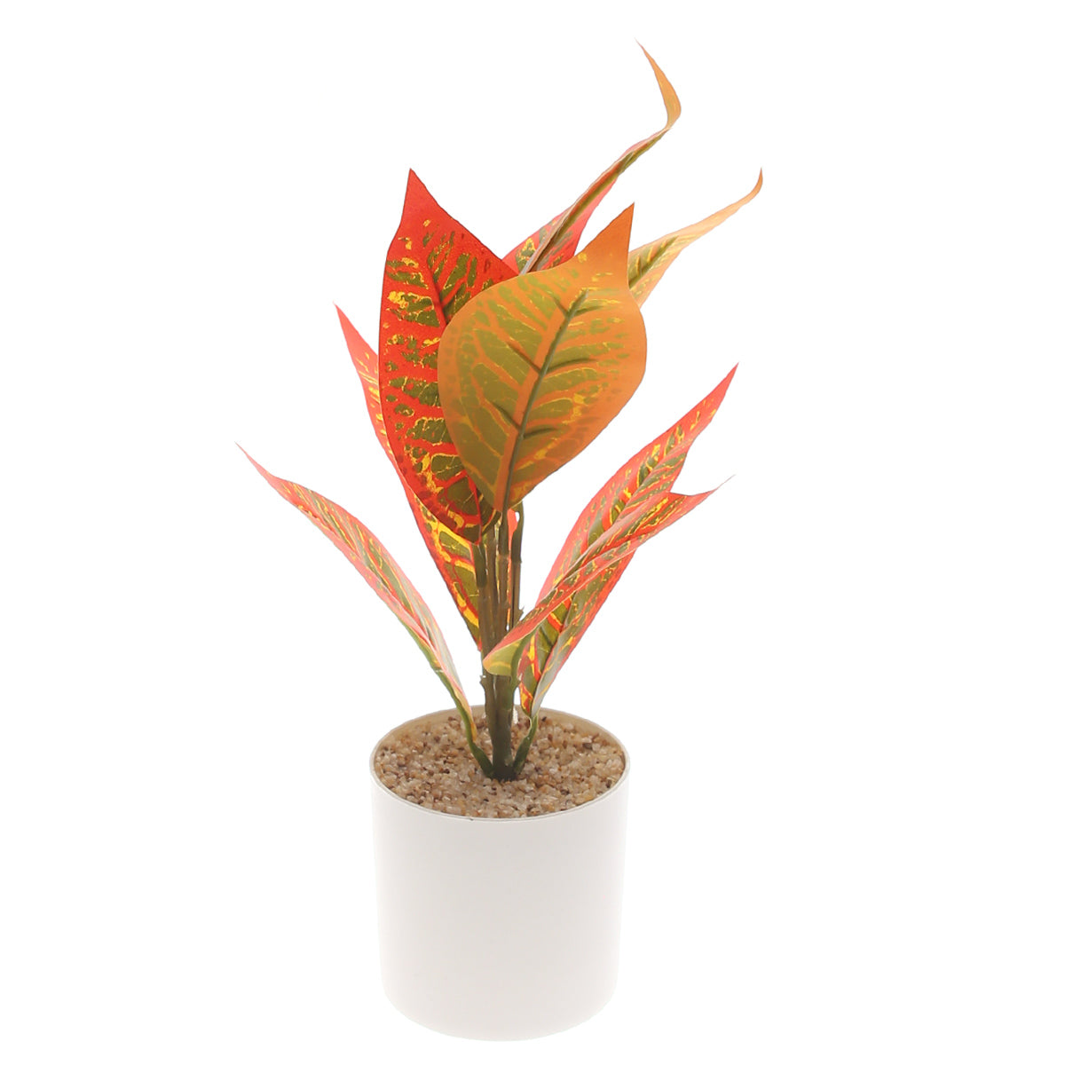 Table Plant D # 5 Orange Ð Decorative Pot Ð 830933
