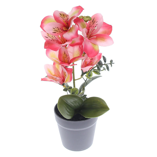 Table Plant Ð Tiger Lily Style Ð Pink Ð 2025366