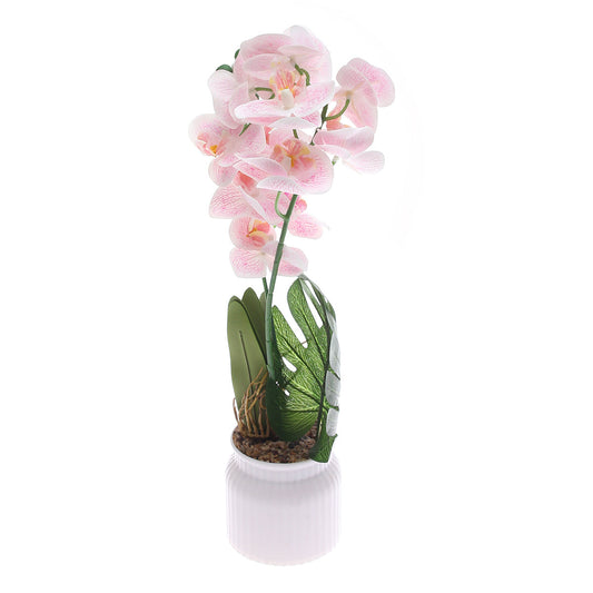 Table Plant Ð Orchid Cascade Ð White & Pink Ð 2025624