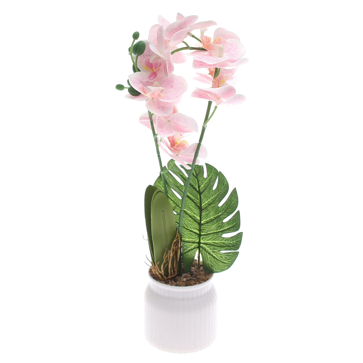 Table Plant Ð Orchid Cascade Ð White & Pink Ð 2025624