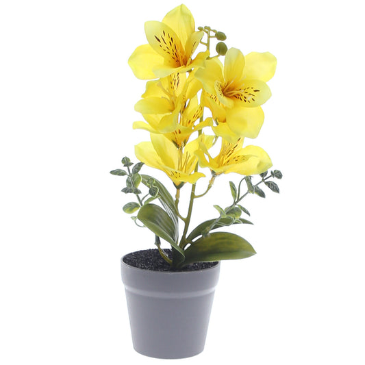 Table Plant Ð Lily Arrangement Ð Yellow Ð 2025366