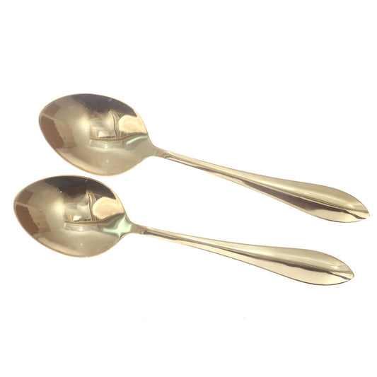 2Pcs Oval Curry Spoon Ð Golden Pioneer Stainless Steel Serving Spoons