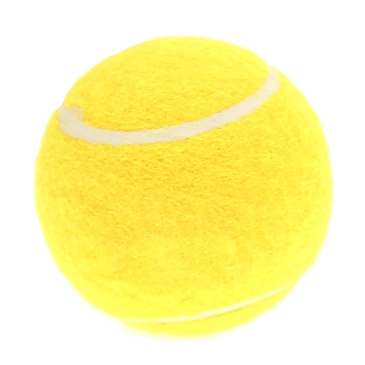 Cricket Tennis Ball Ð Durable Lightweight Ball for Practice & Matches