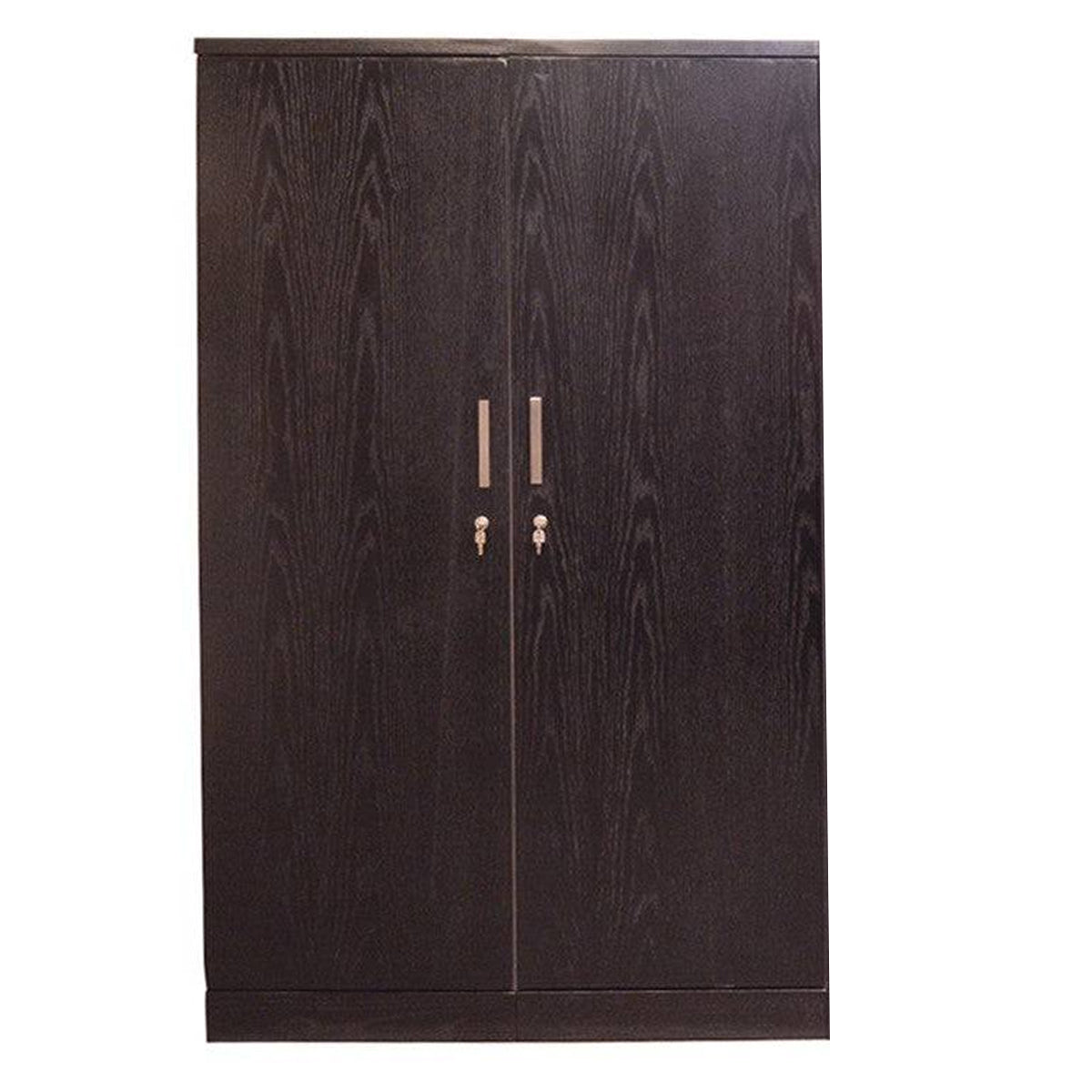 Anderson 2 Door Wardrobe(Black Finish)