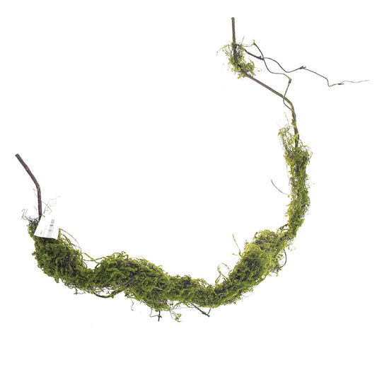 Vines.Unspecified.Green..V2RI