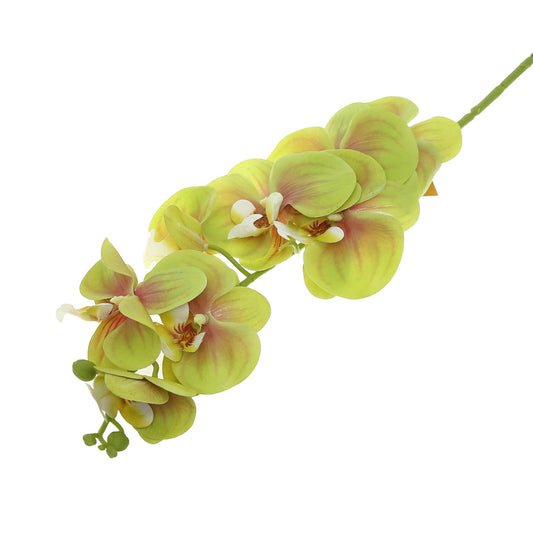 Orchid Flower Stick Nylon+Plastic Multi Oc-01