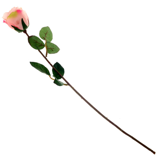SINGE ECUADOR ROSE 1F 6LVS ?V1R72).Unspecified...20622