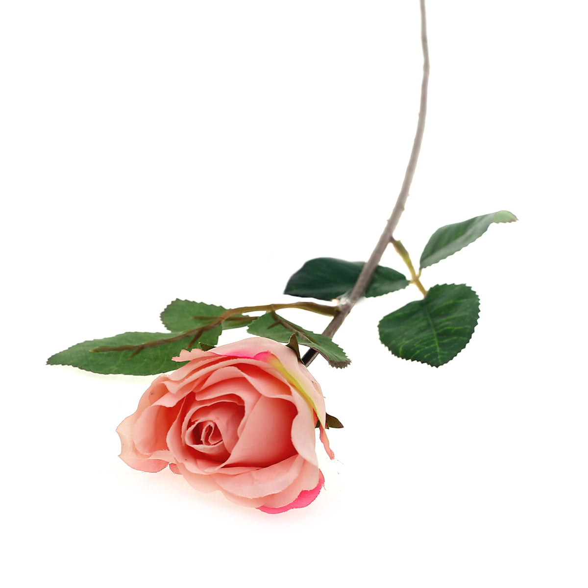 SINGE ECUADOR ROSE 1F 6LVS ?V1R72).Unspecified...20622