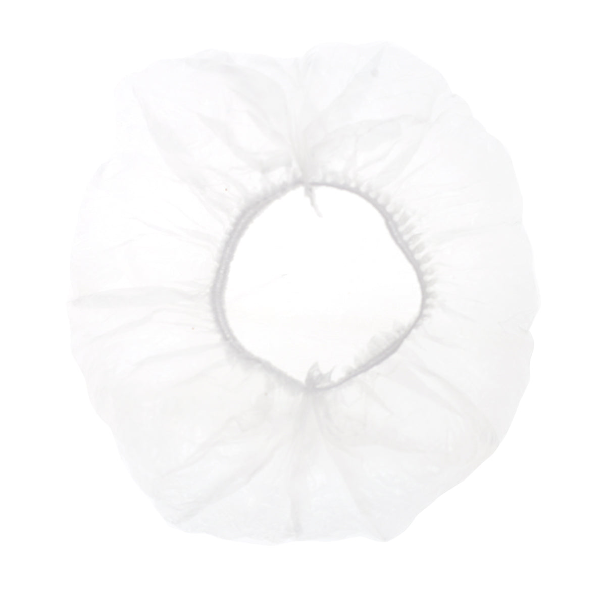 Popular Bear Food Cover