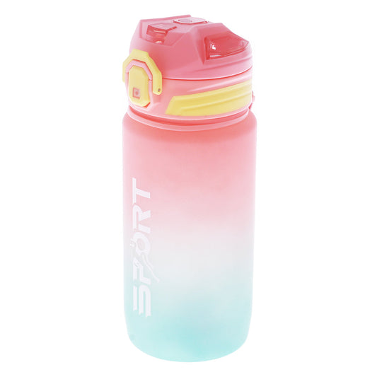 Water Bottle Pink Z311-793